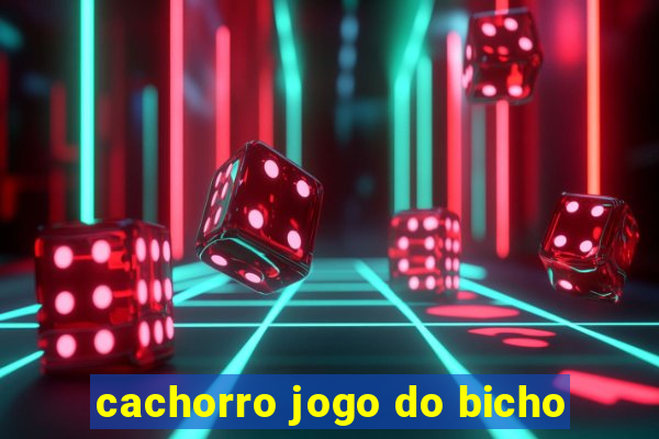 cachorro jogo do bicho